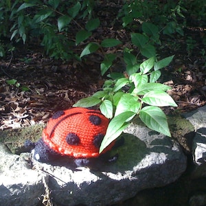 May include: A red and black crocheted ladybug toy with black eyes and a white spot on its back. The ladybug is sitting on a gray rock.