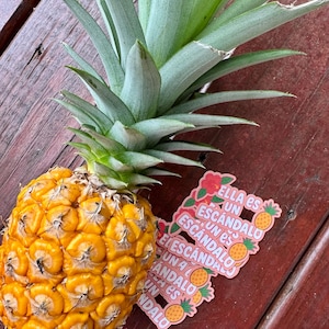Może przedstawiać: Dojrzały ananas o teksturowanej, ż&oacute;łtej sk&oacute;rce i zielonych, kolczastych liściach. Obok ananasa znajduje się kilka r&oacute;żowych naklejek z napisem "Ella es un escandalo" i ilustracjami ananasa.