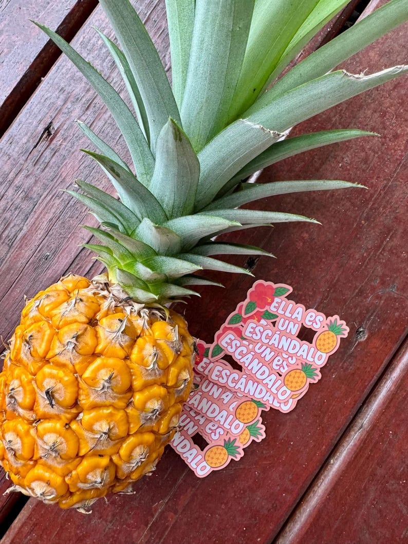Może przedstawiać: Dojrzały ananas o teksturowanej, ż&oacute;łtej sk&oacute;rce i zielonych, kolczastych liściach. Obok ananasa znajduje się kilka r&oacute;żowych naklejek z napisem "Ella es un escandalo" i ilustracjami ananasa.