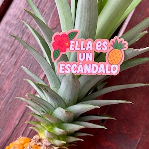 Może przedstawiać: Świeży ananas z zielonymi, kolczastymi liśćmi i żywym ż&oacute;łto-pomarańczowym korpusem. Na liściach umieszczono naklejkę z napisem "Ella es un esc&aacute;ndalo". Naklejka przedstawia czerwony kwiat hibiskusa i ananasa z kresk&oacute;wek.
