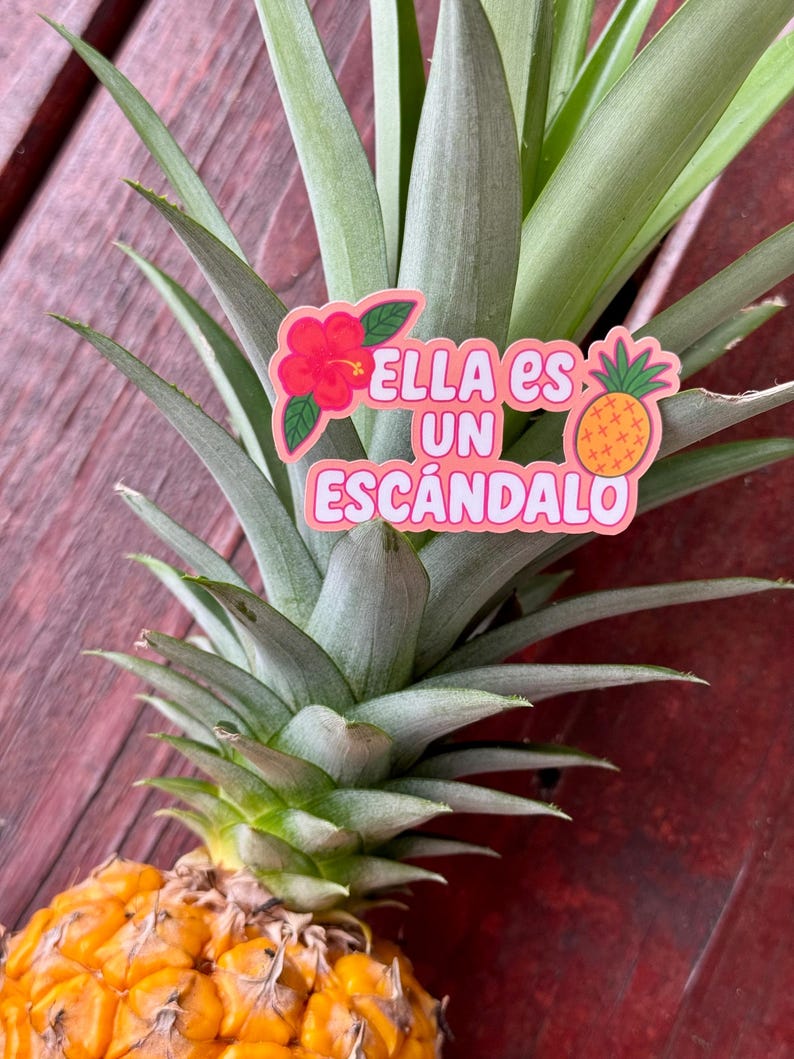 Może przedstawiać: Świeży ananas z zielonymi, kolczastymi liśćmi i żywym ż&oacute;łto-pomarańczowym korpusem. Na liściach umieszczono naklejkę z napisem "Ella es un esc&aacute;ndalo". Naklejka przedstawia czerwony kwiat hibiskusa i ananasa z kresk&oacute;wek.