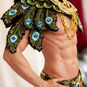 Da neena c0733c peacock warrior men man male parade rio dancer pageant samba costume set xs - xl image 2
