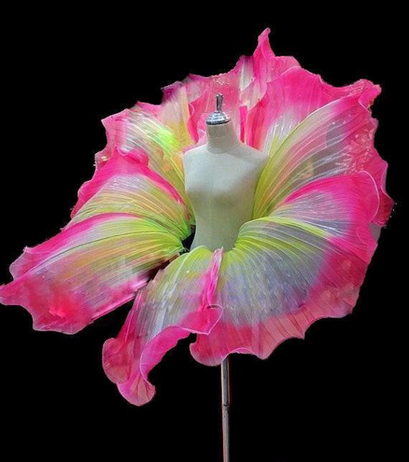 Neena Belt- Posy