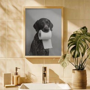 May include: Monochrome framed print featuring a dog with a roll of toilet paper. The dog, a German Shorthaired Pointer, has a speckled coat. The print is displayed in a bathroom setting, with a monstera plant in a woven basket.