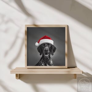 以下が含まれることがあります： 赤と白のサンタ帽をかぶった犬の白黒ポートレートがフレームに入っています。犬はまだらのコートを着ていて、微笑んでいます。プリントは木製の棚に飾られています。