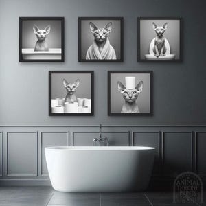 Puede incluir: Cinco fotos en blanco y negro enmarcadas de un gato sin pelo en diferentes poses. El gato lleva un rollo de papel higiénico como sombrero en una foto, está sentado en una bañera en otra y está sentado en un inodoro en otra. Las fotos están colgadas en una pared gris sobre una bañera blanca.