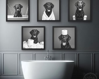 May include: A series of five framed black and white prints featuring a black Labrador Retriever in various bathroom-themed scenarios. The dog is shown in a bathtub, wearing a robe, sitting on a toilet, surrounded by toilet paper, and with a toilet paper roll on its head.