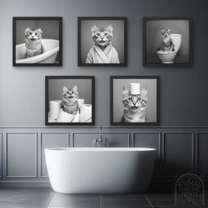 May include: Five black and white framed photographs of cats in various humorous situations. The photos are hung on a grey wall above a white bathtub.