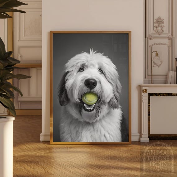 Shepherd English Sheep Hound English Sheep Dog What Breed Is Dulux