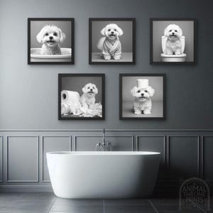 Cute Maltese Bathroom Art Bundle – Funny Maltese in Bath, Bathrobe, Toilet, Toilet Paper & More – Adorable Dog Wall Decor – Digital Download