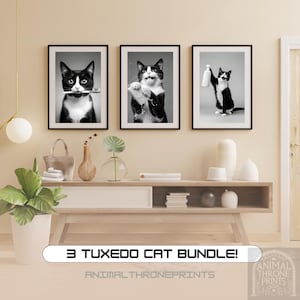 Kit per il bagno con gatto in smoking - Divertente decorazione murale con gatto in smoking, gatto in smoking che si lava i denti, lava le zampe e tiene lo shampoo, stampa digitale per decorazioni da bagno per animali domestici