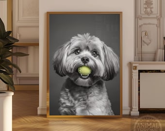 Könnte beinhalten: Schwarz-Weiß-Druck eines kleinen, flauschigen Hundes mit einem Tennisball im Maul. Der Hund hat lange Ohren und einen fröhlichen Gesichtsausdruck. Der Hintergrund ist grau.