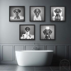 May include: Five black and white photographs of a dog in different humorous situations. The dog is wearing a bathrobe, a toilet roll on its head, and sitting on a toilet. The photos are framed in black and hung on a grey wall above a white bathtub.