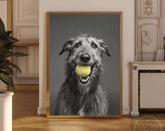 Könnte beinhalten: Schwarz-Weiß-Porträt eines Hundes mit einem gelben Tennisball im Maul. Der Hund hat langes, zotteliges Fell und einen fröhlichen Gesichtsausdruck. Der Rahmen ist goldfarben.