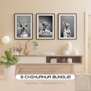 Kit Bagno Chihuahua - Divertente Decorazione Murale con Cane, Chihuahua che si Lava i Denti, Lava le Zampe e Tiene lo Shampoo, Graziosa Decorazione per Animali, Download Digitale