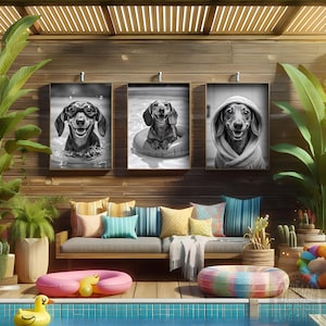 Op de afbeelding: Drie ingelijste zwart-wit portretten van teckel honden. Eén hond draagt een bril in het water, een andere drijft op een band, en de derde is in een handdoek gewikkeld. De scène omvat een zwembad, tuinmeubelen en kleurrijke kussens.