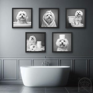 Funny Maltese Bathroom Wall Art – Dog in Bath, Bathrobe, Toilet and TP Roll Artwork – Digital Download Prints, Cute Pet Decor