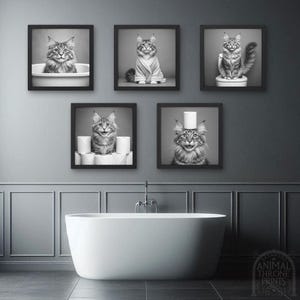 May include: Five black and white framed photos of a cat in various poses. The cat is wearing a bathrobe, sitting on a toilet, sitting in a bathtub, sitting on a roll of toilet paper, and wearing a toilet paper roll as a hat. The photos are hanging on a gray wall above a white bathtub.