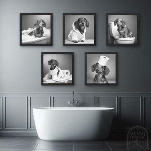 Pode incluir: Cinco fotografias em preto e branco emolduradas de um cão salsicha em vários cenários de banheiro. O cão está vestindo um roupão de banho, um rolo de papel higiênico e um chapéu de rolo de papel higiênico. O cão está sentado em um vaso sanitário, em uma banheira e em um rolo de papel higiênico.