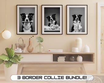 Funny Border Collie Bathroom Art Prints: Dog Grooming Decor