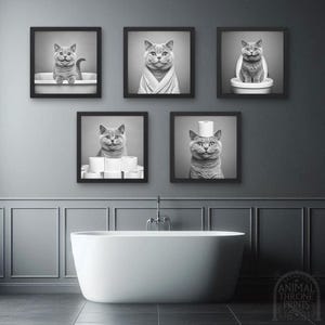Set di decorazioni da parete per il bagno raffiguranti gatti British Shorthair, British Shorthair in bagno, accappatoio, carta igienica e altro, decorazioni per il bagno raffiguranti gatti, stampa artistica di animali domestici