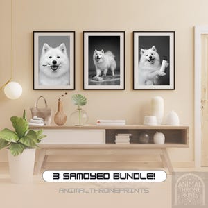 Funny Samoyed Bathroom Wall Art – 3 Dog Prints – Samoyed JPG – Fluffy Dog Decor – Funny Pet Bathroom Art – Digital Wall Art Download