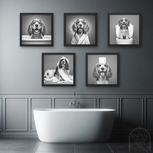 May include: Five black and white framed photos of a dog in various poses. The dog is wearing a toilet paper roll as a hat in one photo, and sitting on a toilet in another. The photos are hanging on a gray wall above a white bathtub.