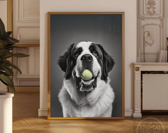 Könnte beinhalten: Gerahmtes Schwarz-Weiß-Porträt eines Bernhardiner-Hundes, der einen gelben Tennisball im Maul hält. Der Hund hat schwarz-weißes Fell und blickt direkt in die Kamera. Der Hintergrund ist einfarbig grau.