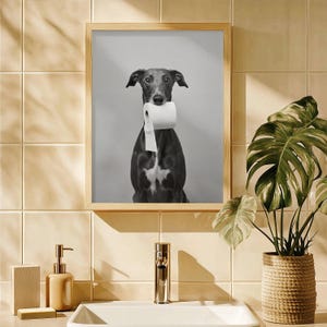 Puede incluir: Foto en blanco y negro de un perro sosteniendo un rollo de papel higiénico en su boca. El perro está mirando a la cámara. La foto está enmarcada en un marco de madera.