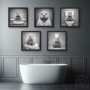 May include: A set of five black and white framed prints featuring a groundhog in various humorous situations. The groundhog is wearing a bathrobe, sitting on a toilet, and holding a roll of toilet paper. The prints are displayed in a bathroom setting with a white bathtub.