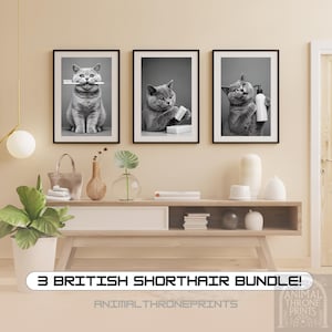 Puede incluir: Un conjunto de tres fotografías en blanco y negro con gatos British Shorthair. La primera foto muestra un gato sosteniendo un cepillo de dientes en la boca. La segunda foto muestra un gato sosteniendo una pastilla de jabón. La tercera foto muestra un gato sosteniendo una botella de champú.
