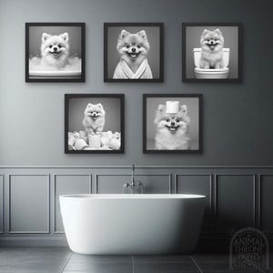 Cute Pomeranian Bathroom Wall Art, Happy Pomeranian in Bath, Bathrobe, Dog Toilet Paper, Dog Bathroom Decor, Pomeranian Wall Art Printable