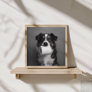 Può includere: Stampa in bianco e nero di un cane che tiene in bocca un rotolo di carta igienica. Il cane ha pelo nero, bianco e marrone. La stampa è esposta su una mensola di legno contro un muro bianco.