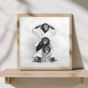 Pode incluir: Impressão emoldurada em preto e branco com três chimpanzés em roupões brancos. O chimpanzé superior cobre as orelhas, o do meio os olhos e o inferior a boca, uma versão humorística do conceito "não ver o mal, não ouvir o mal, não falar o mal".