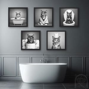 May include: Five black and white photographs of cats in various humorous situations. The photos are framed and hung on a grey wall above a white bathtub. The photos feature a cat in a bath, a cat wearing a towel, a cat sitting on a toilet, a cat with a toilet roll on its head, and a cat hiding in a toilet roll.