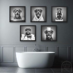 Op de afbeelding: Vijf zwart-witfoto's van een Rottweiler in verschillende badkamersituaties. De hond draagt een handdoek, zit op het toilet en is omringd door toiletpapierrollen.
