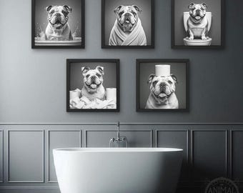 Funny English Bulldog Bathroom Wall Art Bundle, Cute Bulldog in Bath, Bathrobe, Bulldog Toilet, Toilet Paper Scenes, Digital Download Prints