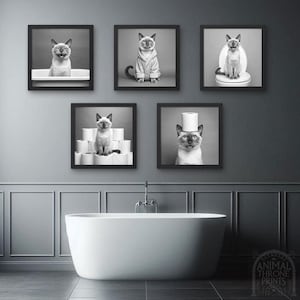 Könnte beinhalten: Fünf schwarz-weiße gerahmte Fotos einer Katze in verschiedenen Posen. Die Katze trägt eine Robe, sitzt auf einer Toilette, sitzt auf einem Stapel Toilettenpapierrollen, sitzt in einer Badewanne und trägt eine Toilettenpapierrolle als Hut. Die Fotos hängen an einer grauen Wand über einer weißen Badewanne.