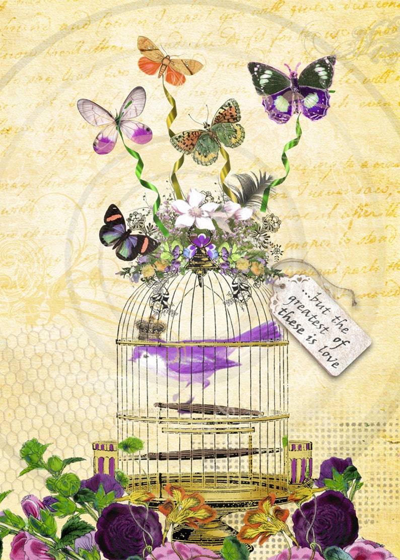Victorian Butterflies and Bird in a Cage Digital Collage Instant