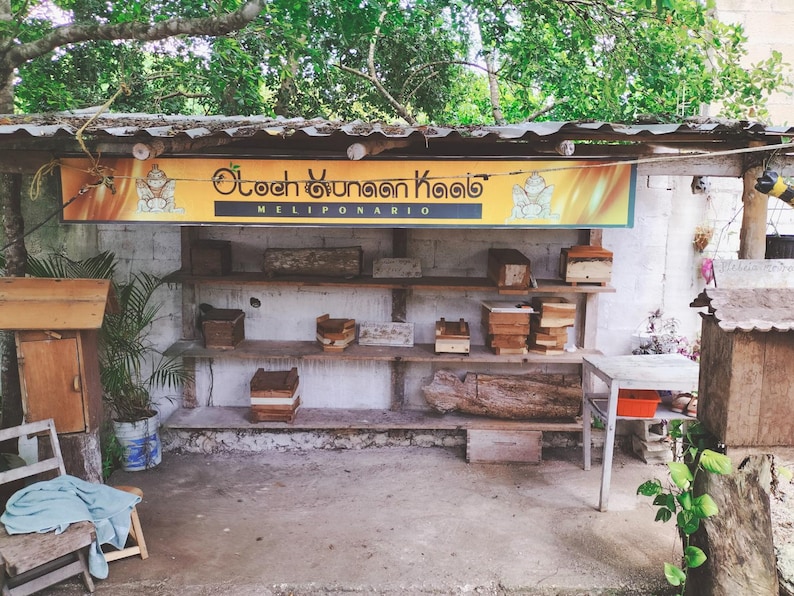 K&ouml;nnte beinhalten: Eine Holzkonstruktion mit Regalen, auf denen Holzkisten stehen. Das Schild dar&uuml;ber lautet "Otoch Yunaan Kaab MELIPONARIO".