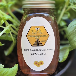 May include: A clear glass jar filled with amber-coloured honey, featuring a white oval label with a yellow hexagon graphic. The label displays the text Xul-Ha, 100% Pure Melipona Beecheii Honey, Est. 2006, 100% Raw & Unfiltered Honey, and Net Weight 8 Oz.
