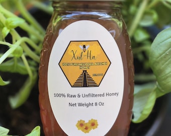 Miel pura de Melipona Beecheii, abeja sin aguijón, origen yucateco, rica en antioxidantes.