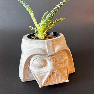Puede incluir: Un macetero de hormigón gris con forma de cabeza de Darth Vader, con una pequeña planta suculenta verde creciendo en su interior.