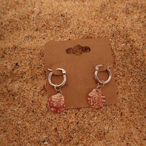 Op de afbeelding: Zilveren oorringen met kleine, natuurlijke schelpen. De schelpen zijn rood en wit, gepresenteerd op een bruine kaart tegen een zanderige achtergrond. Een eenvoudig strandaccessoire.