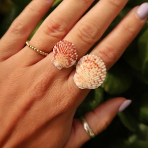 May include: Two seashell rings, one on the index finger and one on the middle finger. The seashells are white with reddish-brown markings. A gold beaded ring is on the ring finger. A silver ring is on the pinky finger.