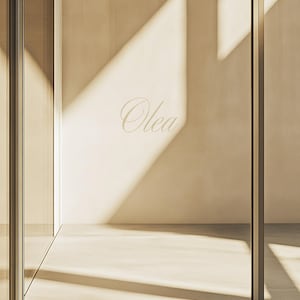 Op de afbeelding: Een minimalistische interieurontwerp ruimte met een glazen deur en het woord "Olea" op de muur.