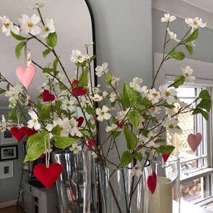 May include: A bouquet of white dogwood branches with felt hearts hanging from the branches. The branches are in two clear glass vases.