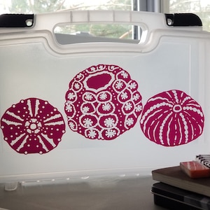 SVG Bundle - 3 Sea Urchin Shells Instant Download