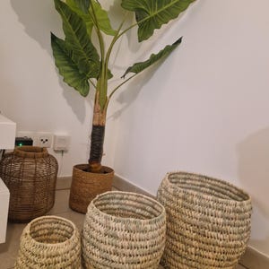 Peut inclure: Plusieurs paniers tressés de différentes tailles, avec une grande plante artificielle en arrière-plan. Les paniers sont faits de fibres naturelles dans des tons beige et vert clair. La plante a de grandes feuilles vertes.