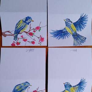 aquarelles peintes à la main (lot de 4) mésanges bleues et fleurs de cerisier